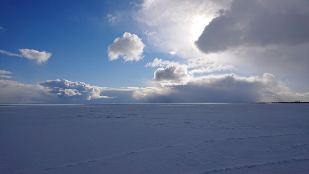 Olle käis Saaremaa lõunapoolsel kaldaalal, mis on umbes kümne sentimeetri paksuse jääkaane all niikaugele kuni silm ulatub