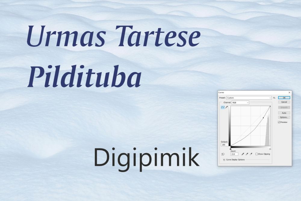 digipimik 