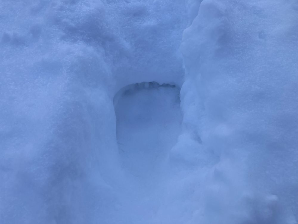 Tänase isendi esikäpa laius oli 17 sentimeetrit