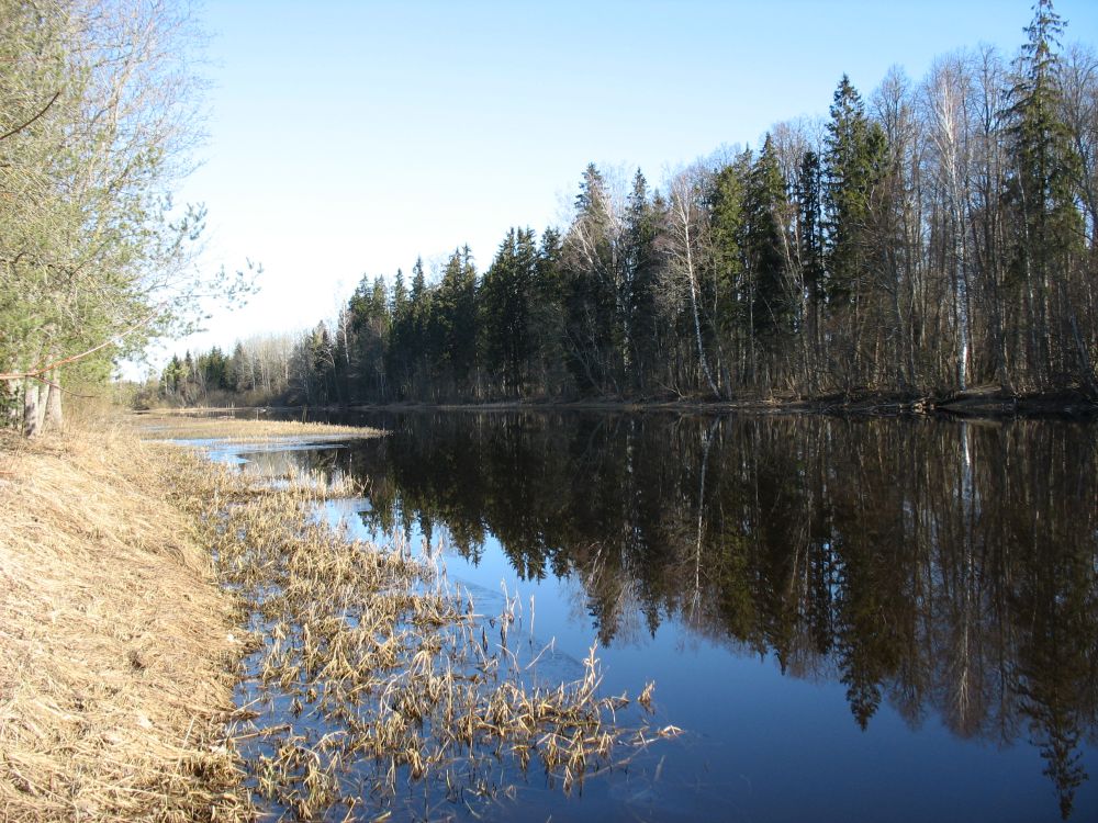 Jõgeva mõisapark üle veskijärve 
