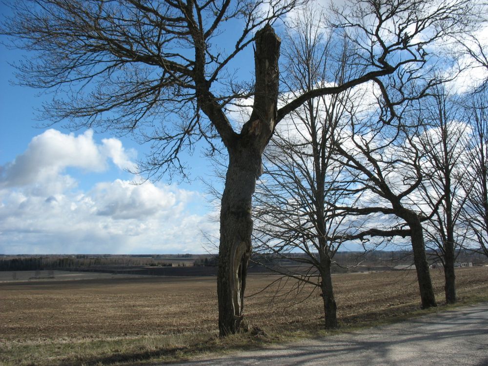 Vaade Kuremaa mäelt reedel 