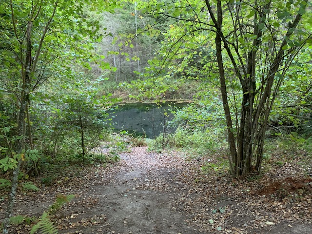Mustallikas