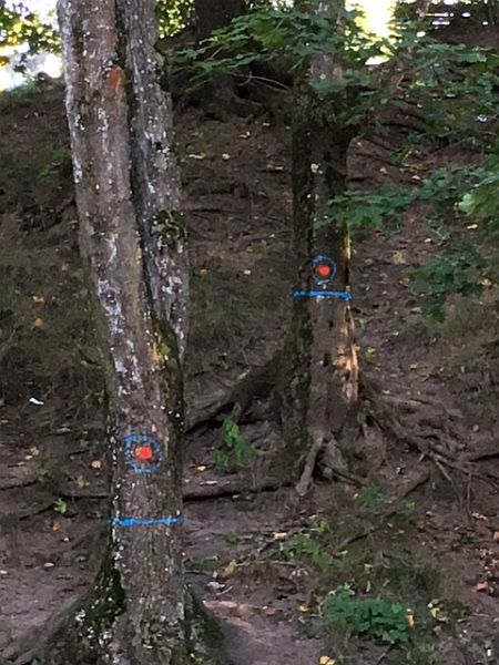 Surmamärkidega puud