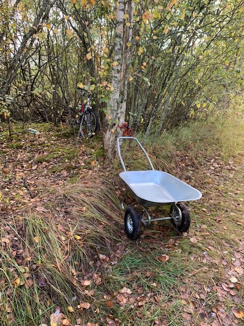 Pean tunnistama, et olen küll ka ise raskeid marju täis seljakotte rabast seljas välja tassinud, aga seesuguse transpordi peale pole tulnud