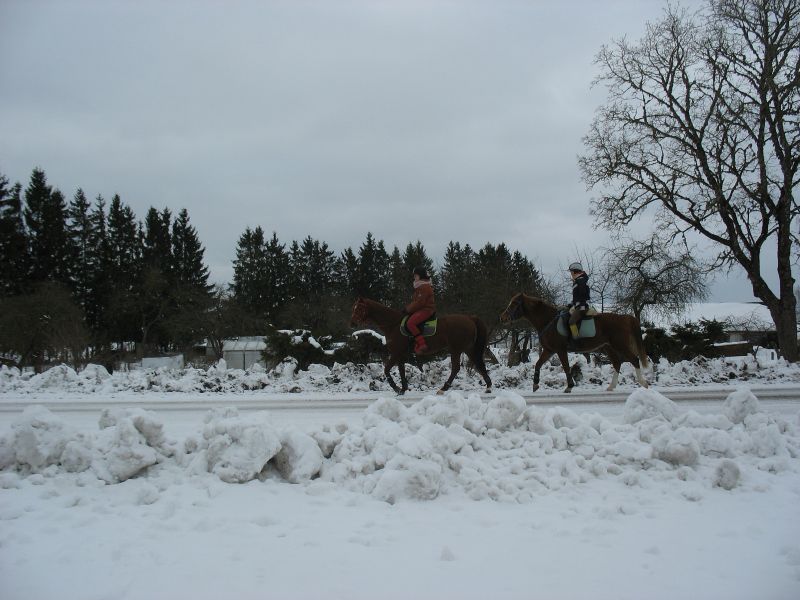 Hobustega jalutamas.
