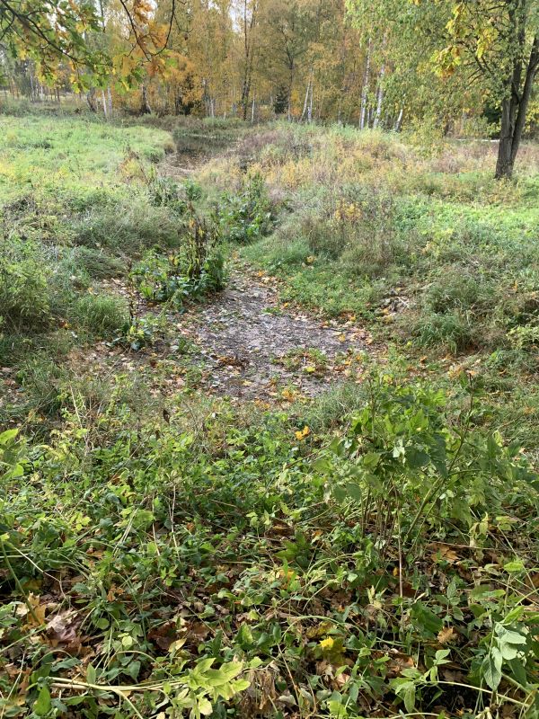 Kuivaks jäänud Järva-Jaani allikas