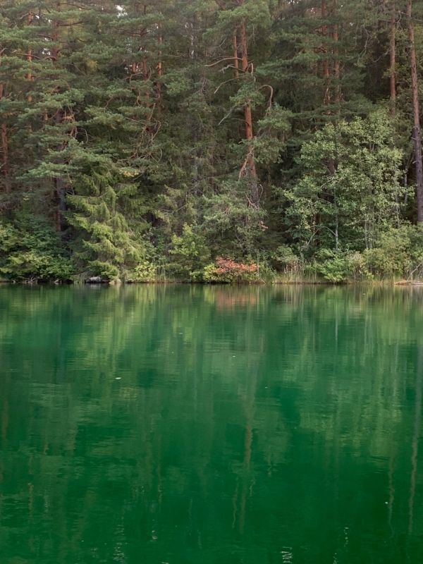 Põhjavesi on ohus ja sel aastal kutsun ma kõiki oma koduallikate sügavust mõõtma, tundub, et midagi olulist on meie põhjaveega juhtunud.