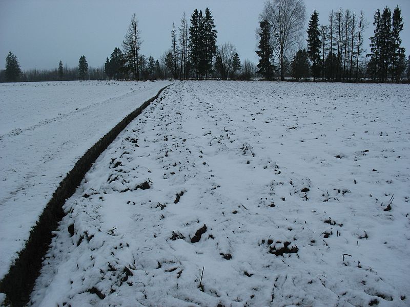 Värskelt sadanud lumega põld reedel