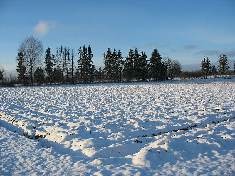 Kõnnipõld teisipäeval 