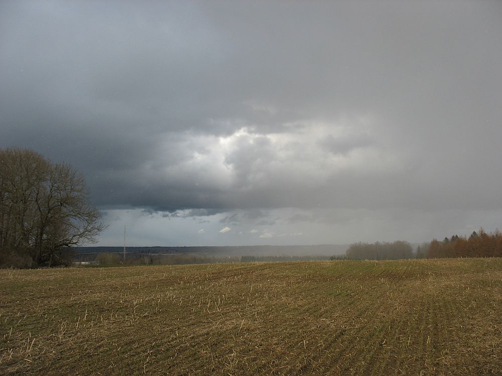 Pühapäevane lumesadu Laiuse mäel