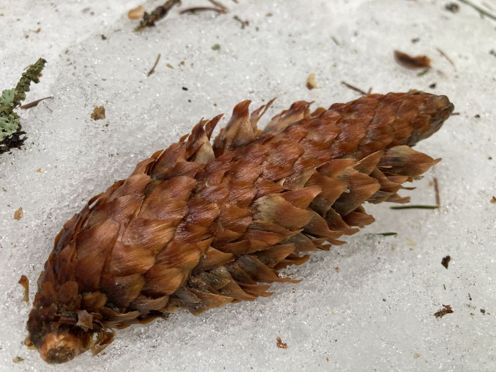 Rikkalik toidulaud | Looduskalender.ee