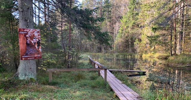 Oostriku allikas