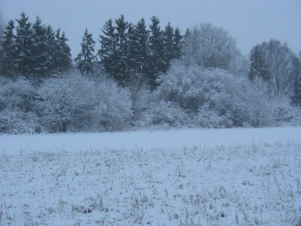 Uus lumikate 