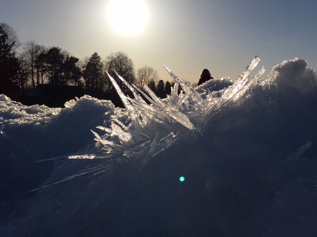 jää