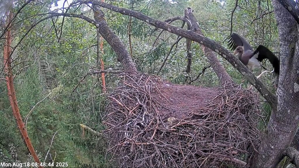 Täna peaksime nägema, milliseks kujuneb olukord.