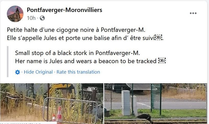 Julge alumisel parempoolsel pildil