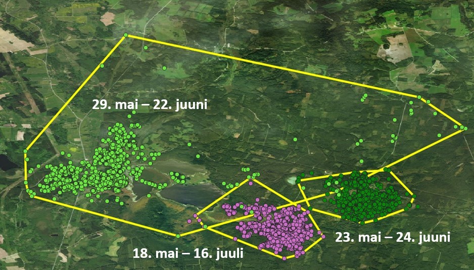 Kaart kujutab Jaasi (kõige suurem territoorium), Caesari (all vasakul) ja Ingo (all paremal) valdusi ja liikumist