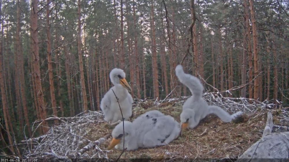 …aga väga hästi veel välja ei tule. 