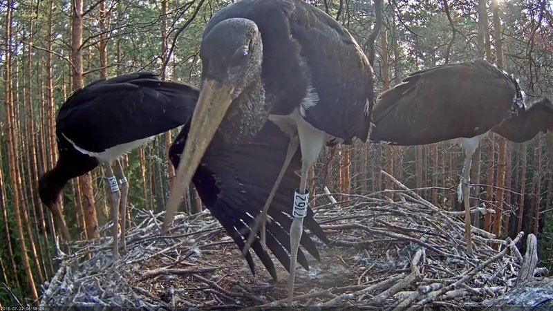 Minu nimi on MARU ja ma olen pildil kõige vasakpoolsem, numbriga 7163