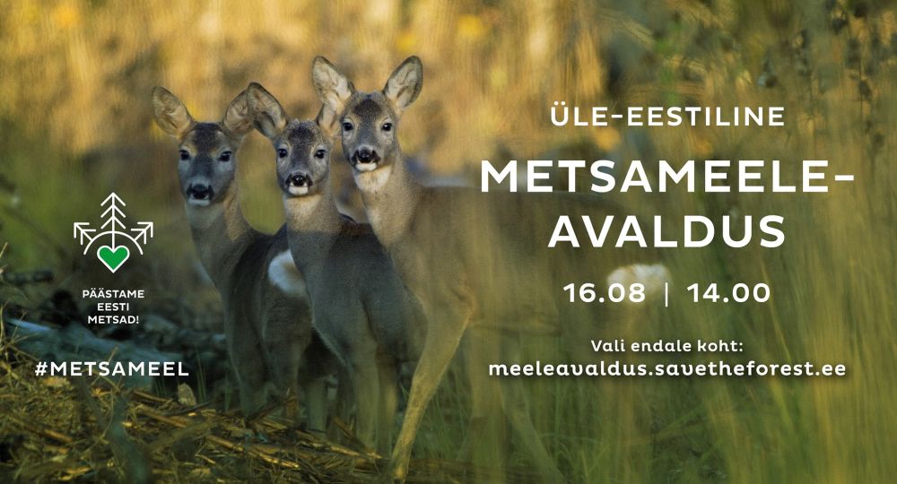 metsameeleavaldus
