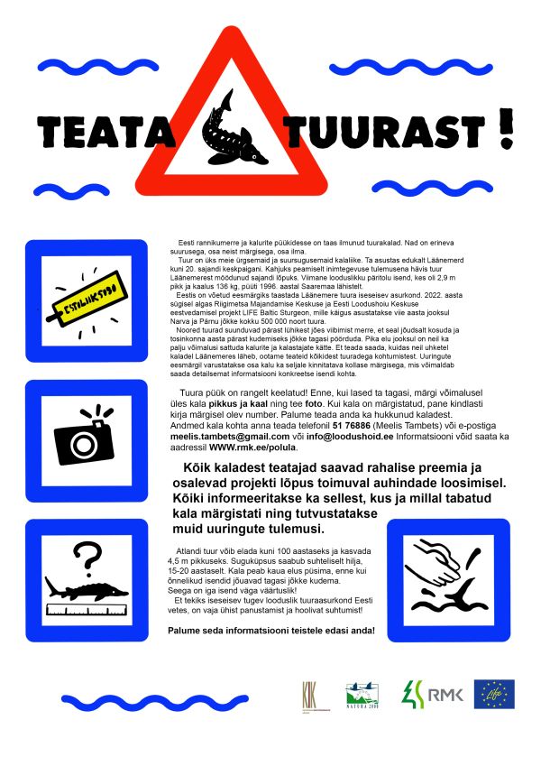 tuur