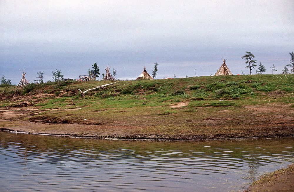 Nganassaani püstkojad