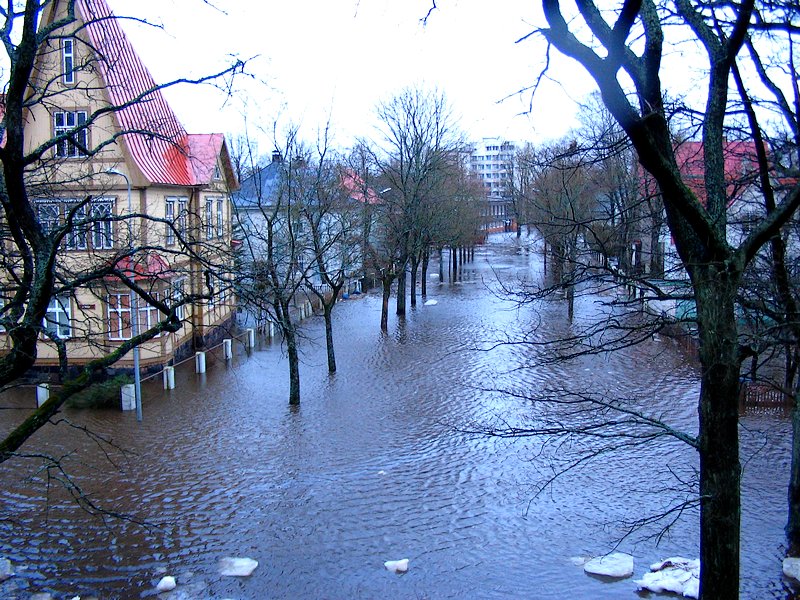 Foto ilm.ee tormipiltide arhiivist. Pärnu linn 9.01.2005.
