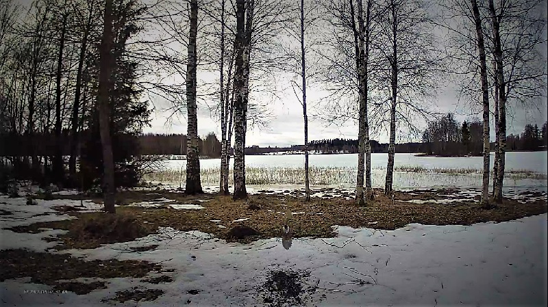 Pilt veebikaamerast Laranjeras, LK foorumist