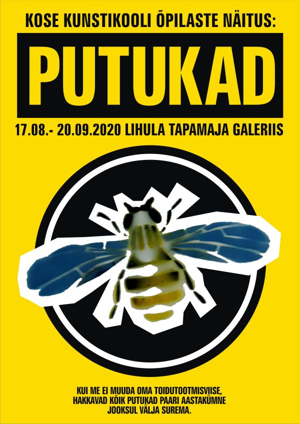Kose Kunstikool „Putukad“