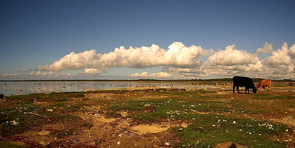 Rändekaamera 