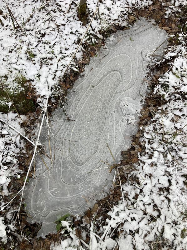 Samakõrgusjooned