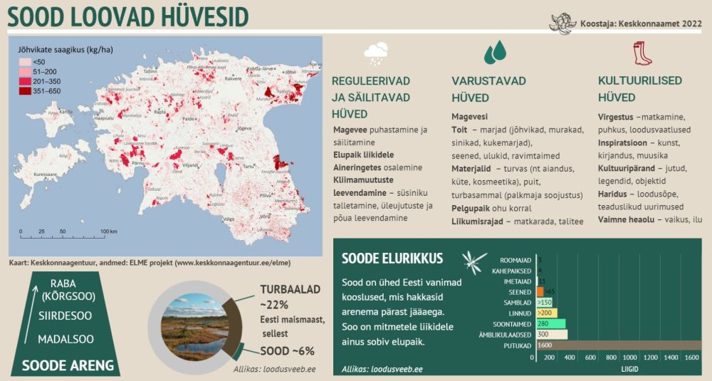 Kuivenduskraavidega muudetud veerežiim on rikkunud turba juurdekasvu ja süsiniku sidumise,  veepuhastamise ja -varu hoidmise võimet, samuti on vähenenud ka soodele omaste liikide heaolu. Kuivendamisega rikutud soode taastamise vajadus on selge, vähemalt enamikele soohuvilistele ja loodusteadlastele.