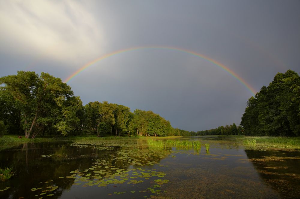 Väimela Alajärv 2012. aasta augustis