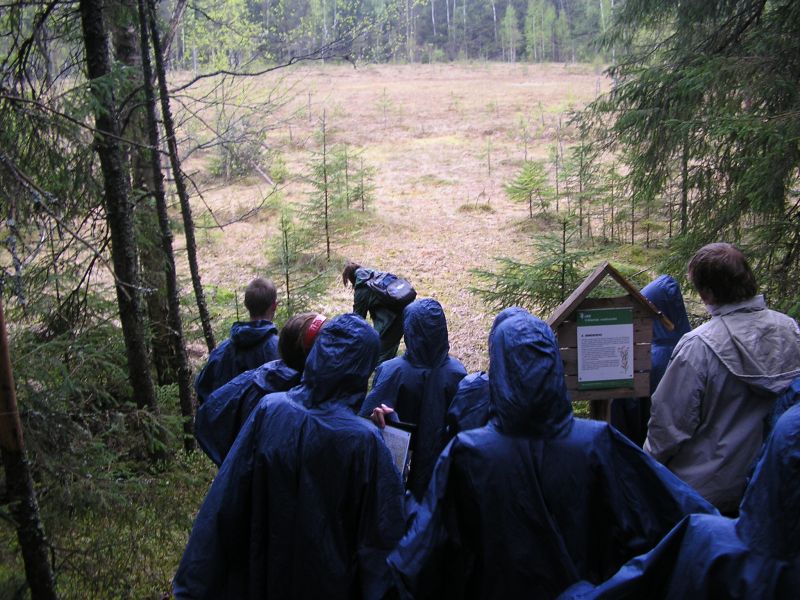 Vällamäe soo 5.11.2011