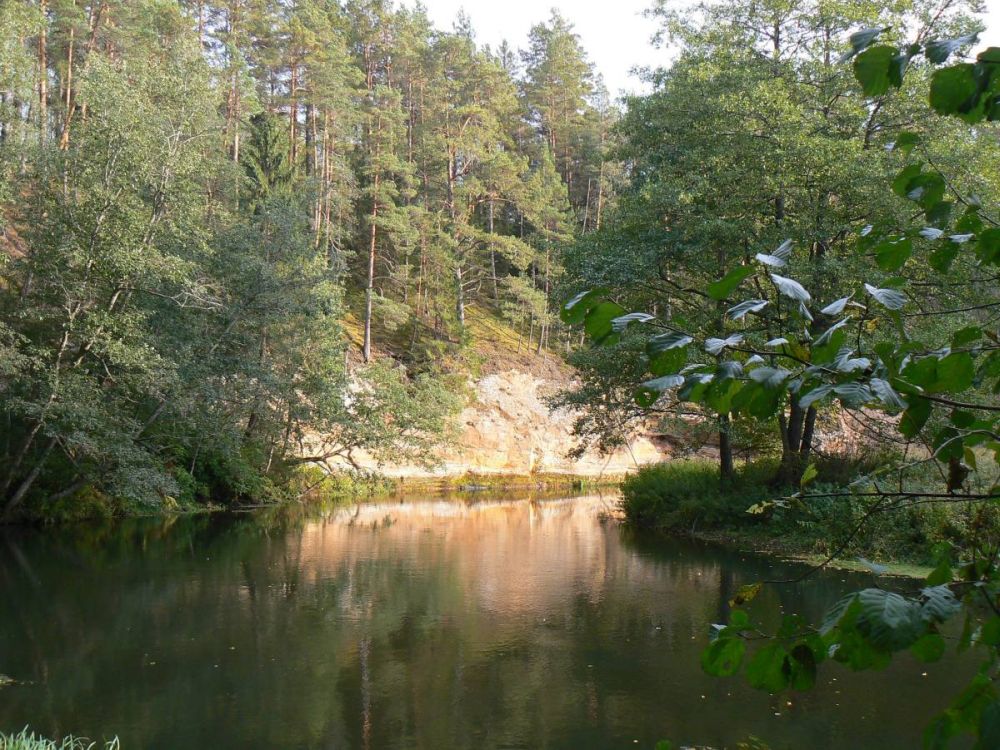 Võhandu Viira müüri juures