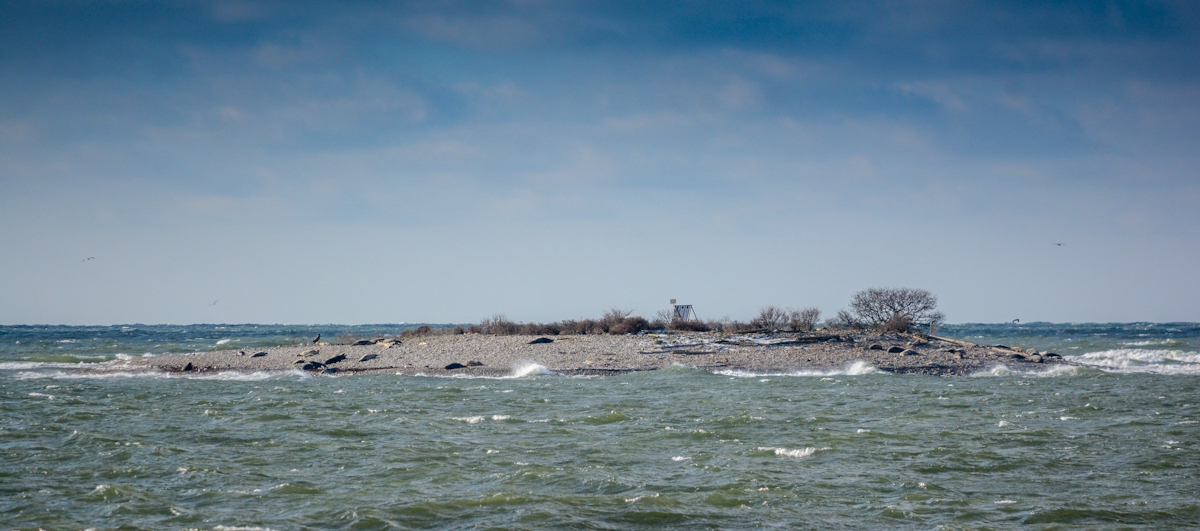 Vilsandi_RP_Kadri_Paomees_ 1200