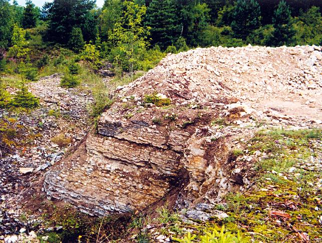 Kärdla meteoriidikraatri ringvallil Palukülas paljandub Vormsi lademe lubjakivi