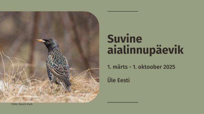 aialinnupäevik
