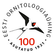 birdlife