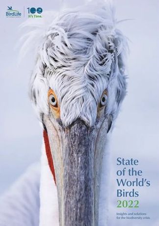 birdlife