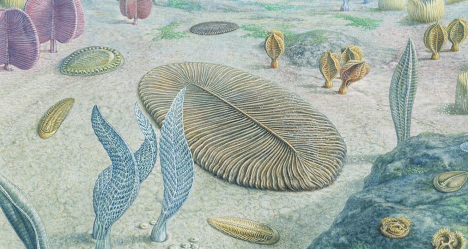 Kunstniku visioon Ediakaara elustikust