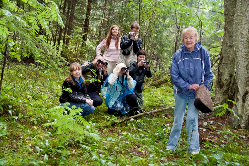 Foorumirahvas metsas.
