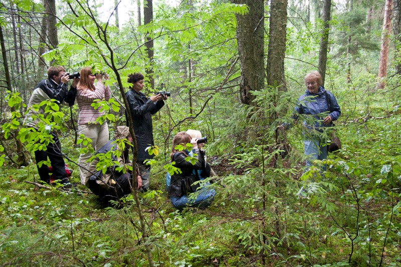 Foorumirahvas metsas