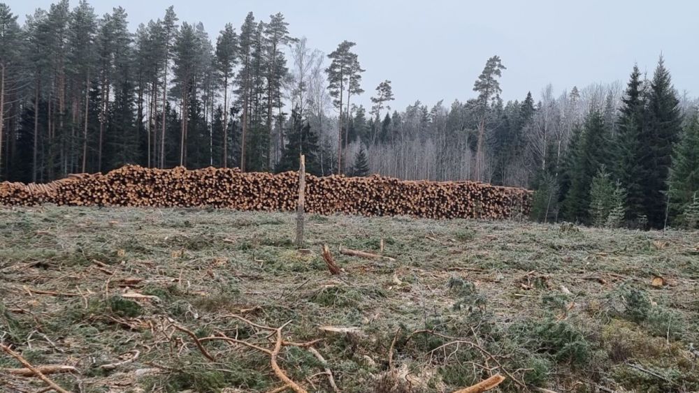 Metsaraie Rail Balticu hüvitusala