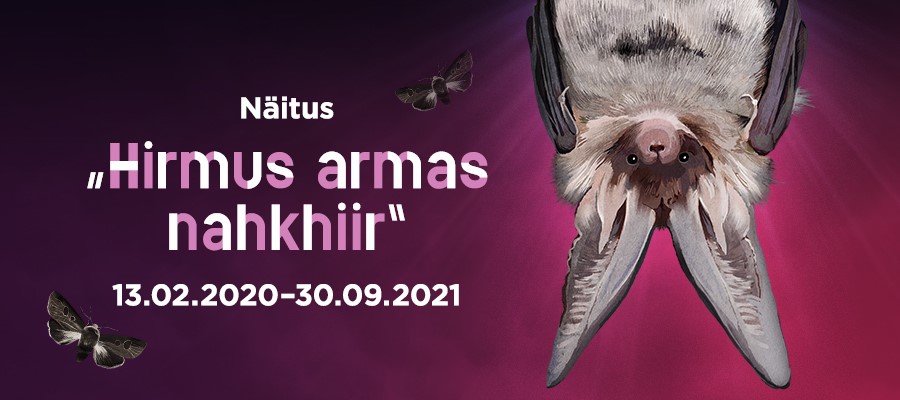 Hirmus armas nahkhiir