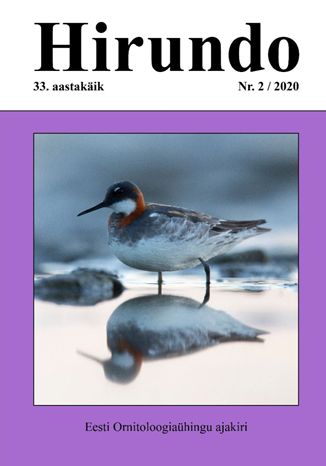 Hirundo 