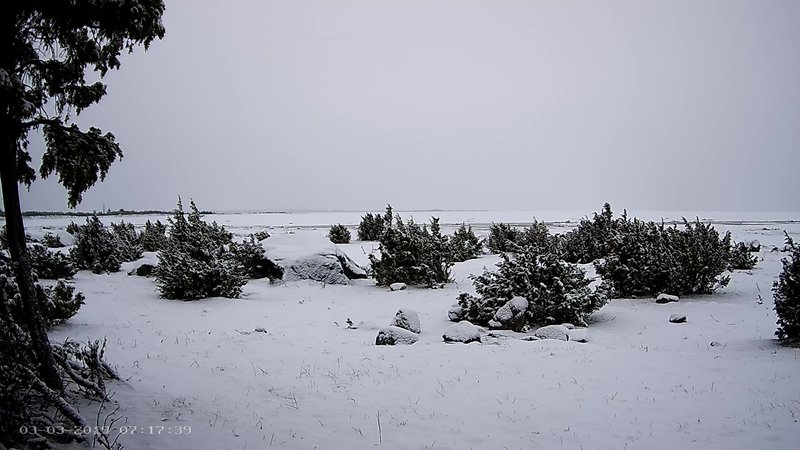 Eilne hommik veebikaamera ees