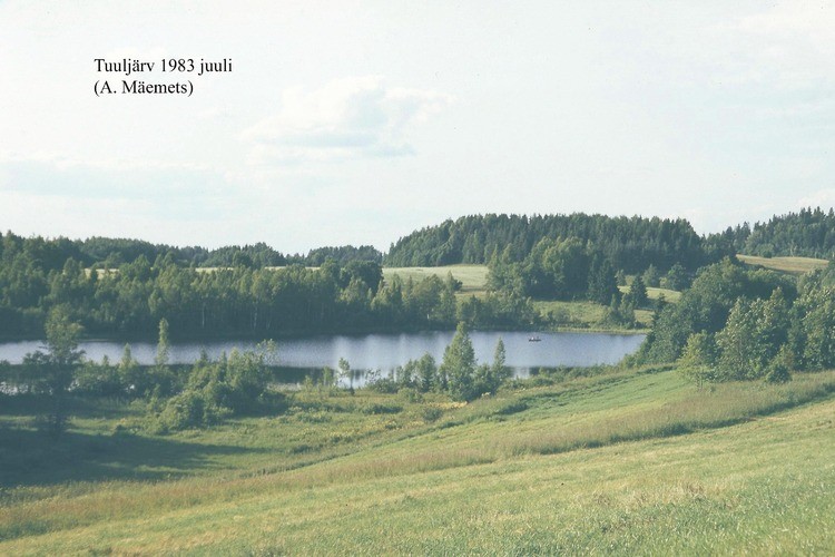 Tuuljärv