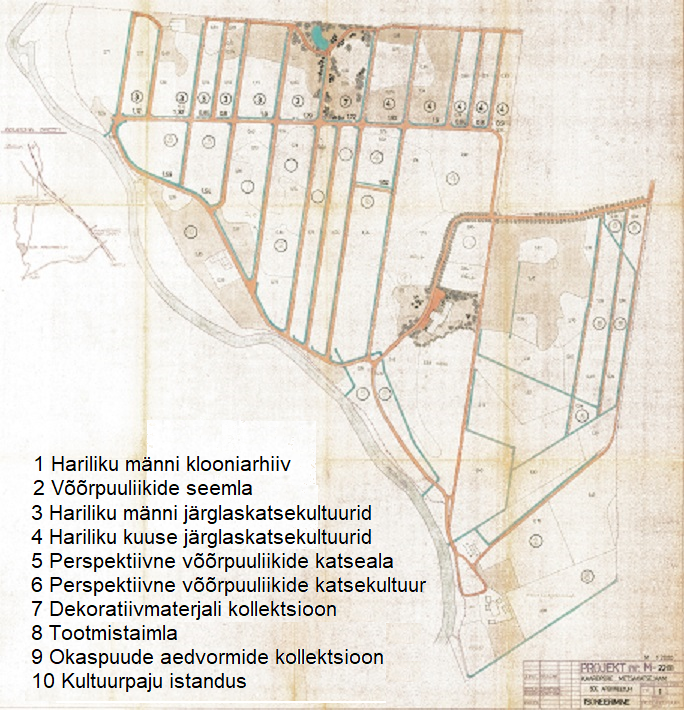 Joonis 1. Söe arboreetumi tsoneerimise projekt (E. Brafmann 1988). 