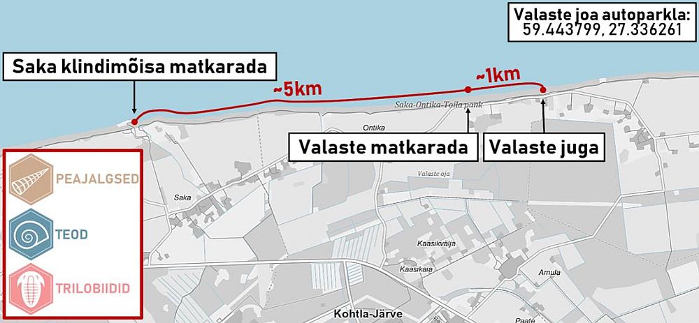 kaart